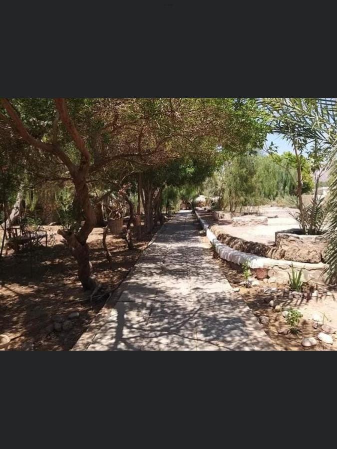 Hotel Elbadawy camp Nuweiba` Zewnętrze zdjęcie